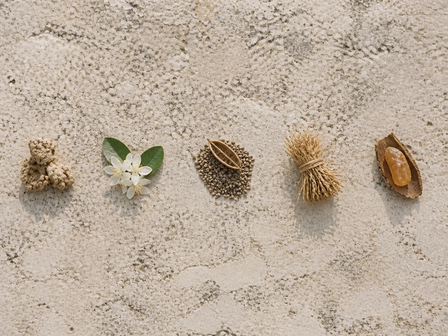 Five raw materials laid in a row on one limestone slab